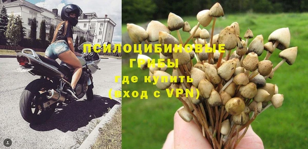 первитин Осинники