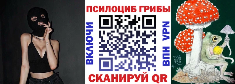 где купить наркотик  Нарьян-Мар  Галлюциногенные грибы Magic Shrooms 