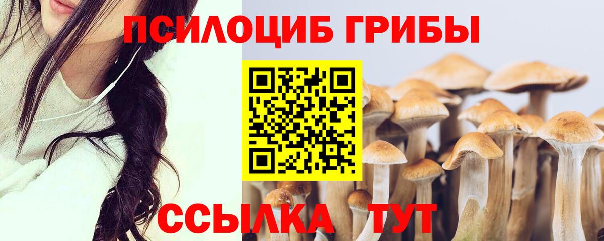 Псилоцибиновые грибы Magic Shrooms Нарьян-Мар