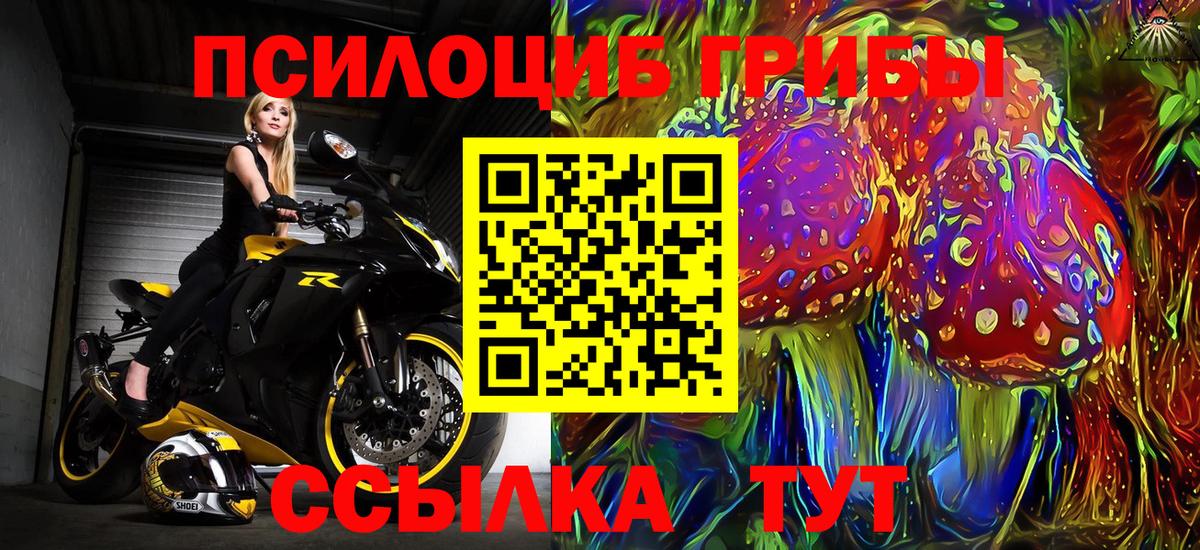 Псилоцибиновые грибы Psilocybine cubensis  Вход с VPN  Нарьян-Мар  Псилоцибиновые грибы прущие грибы 